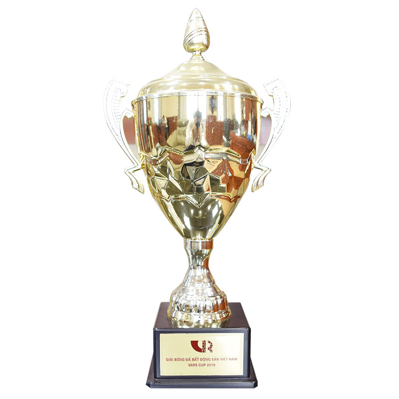 Vô Định - Giải bóng đá bất động sản Việt Nam VARS CUP 2018